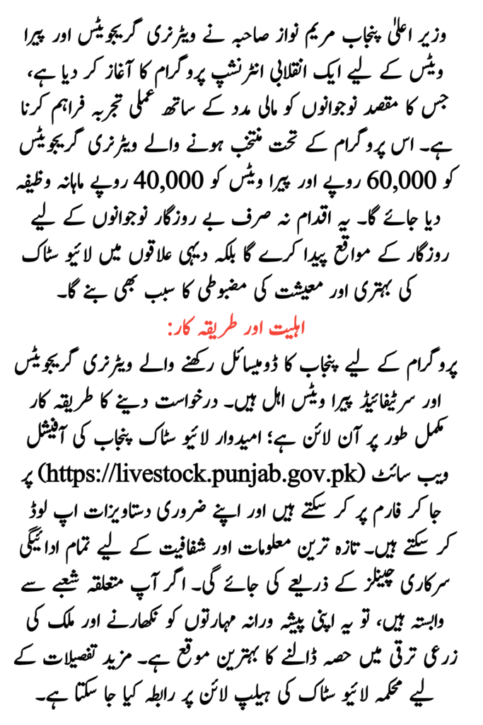 Maryam Nawaz Internship Program