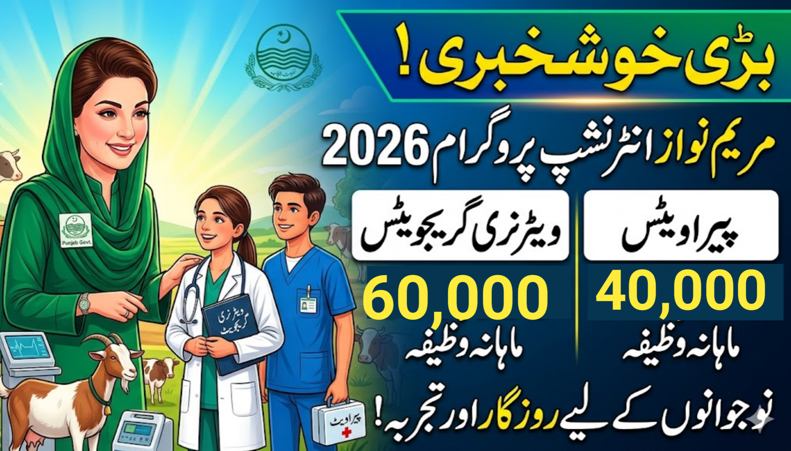 Maryam Nawaz Internship Program